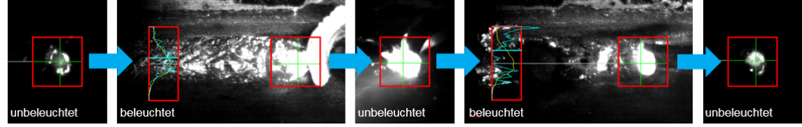 04_Lessmueller_WELDEYE_Bildanalyse