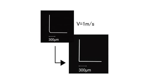 excelliscan_2